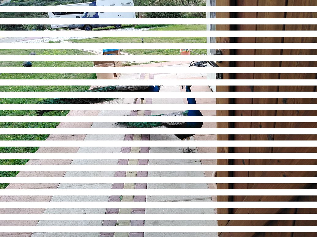 Progressive & Interlaced Images Results